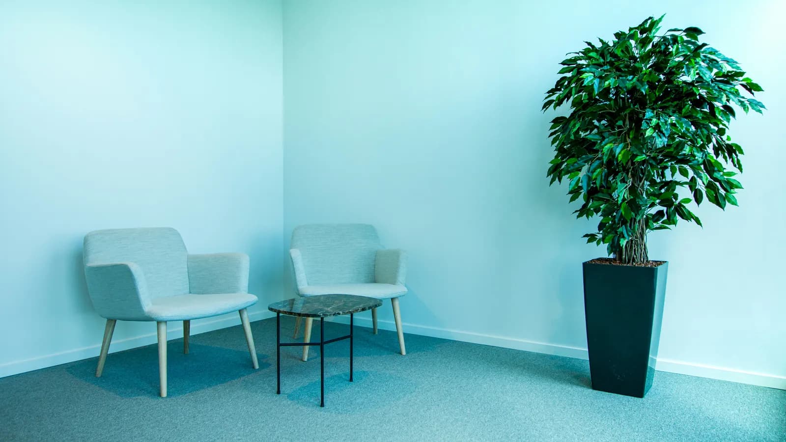 Modern office interior, representing immigration-office interpreting