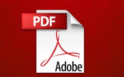 PDF failo vertimas: kaip apdoroti skirtingus failų tipus