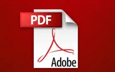 PDF failo vertimas: kaip apdoroti skirtingus failų tipus
