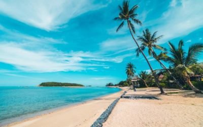 BeTranslated Translates for the Caribbean Tourism Industry