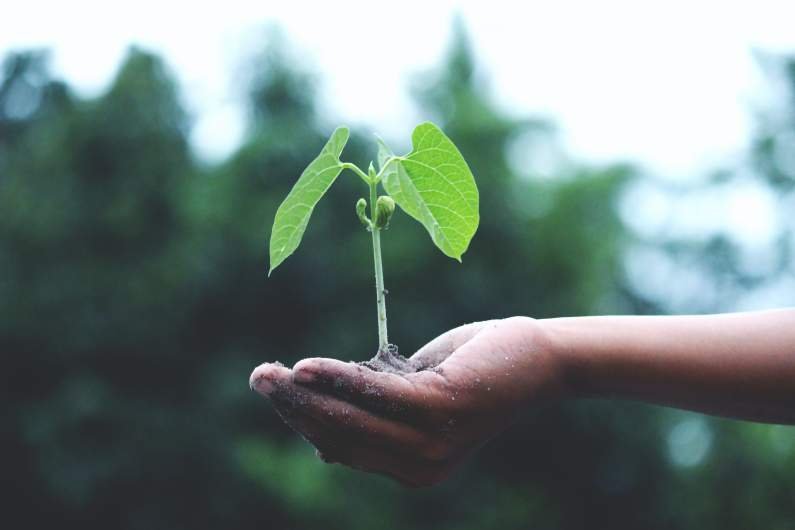 global business sustainability