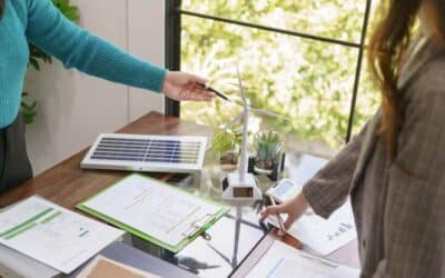 Why Green Businesses Have Better Chances of Success in Global Markets